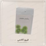 گل خشک بابونه تزئینی