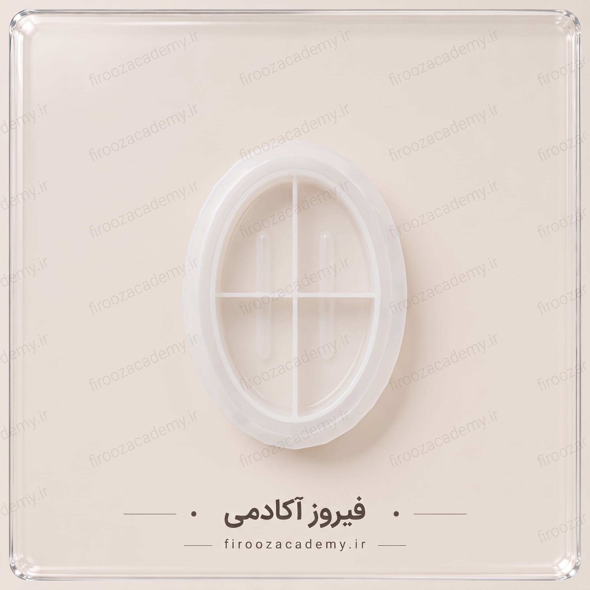 جاصابونی بیضی جاصابونی بیضی