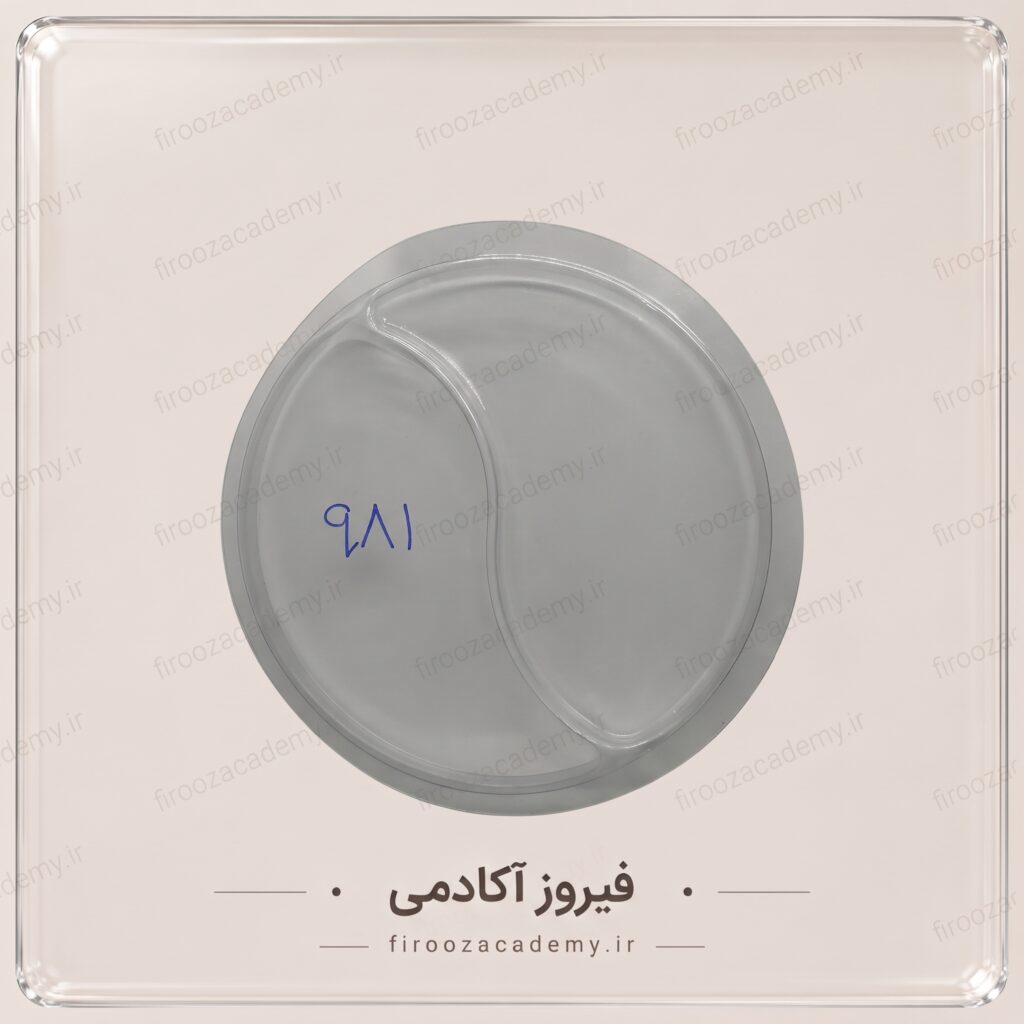 قالب تولید سنگ مصنوعی (جنس طلقی) – کد 981