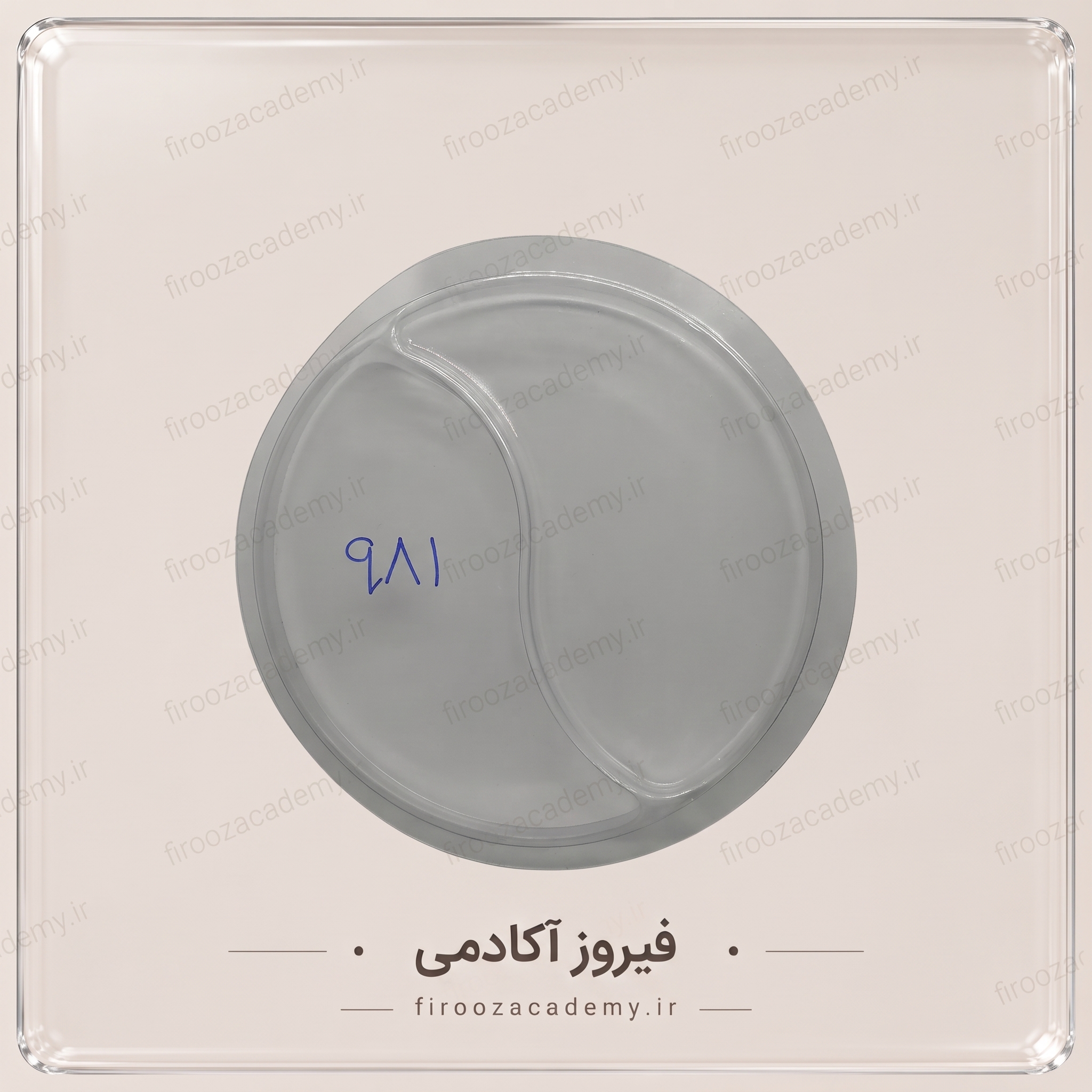 قالب تولید سنگ مصنوعی (جنس طلقی) – کد 981 قالب تولید سنگ مصنوعی (جنس طلقی) – کد 981