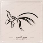 شابلون 35*25