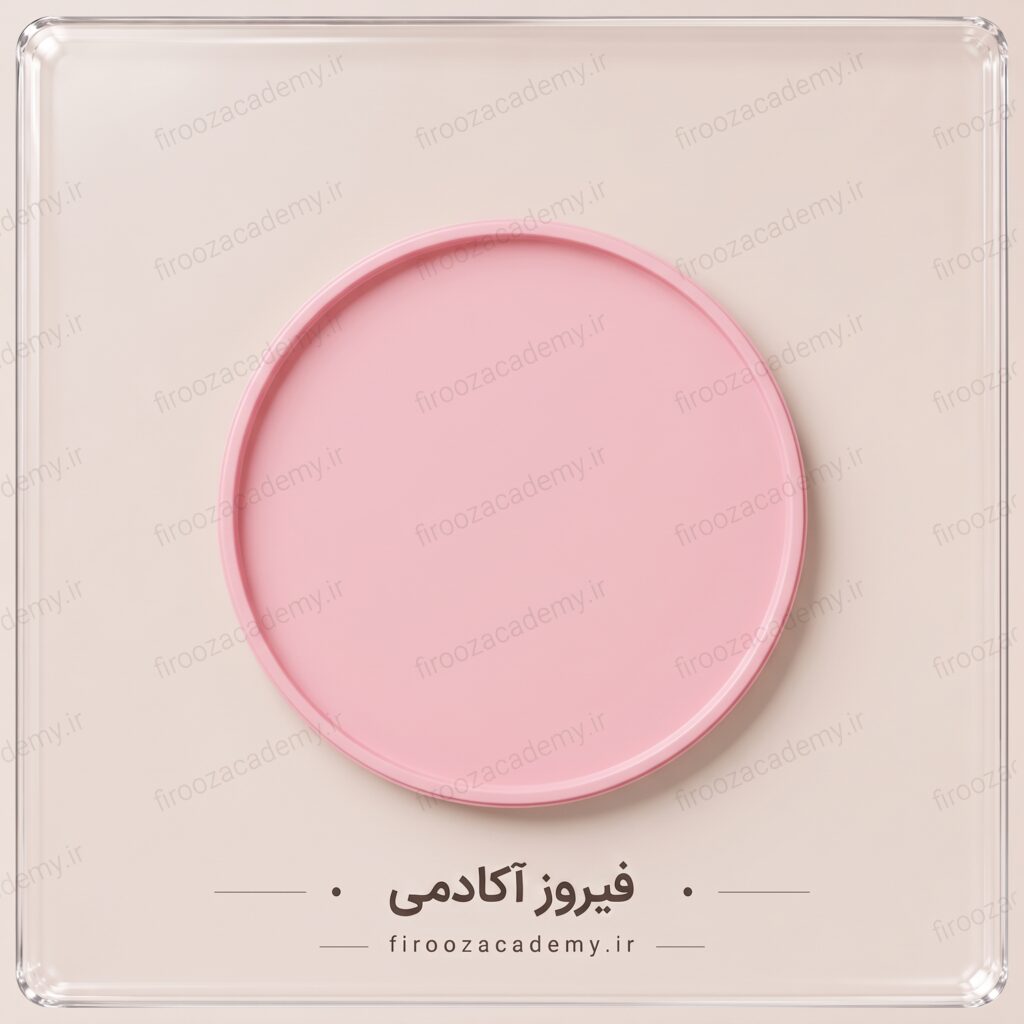 قالب سیلیکونی (مدل دایره 30سانت)