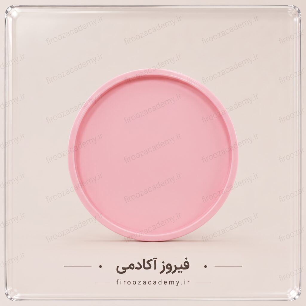 قالب سیلیکونی (مدل دایره 20 سانت)