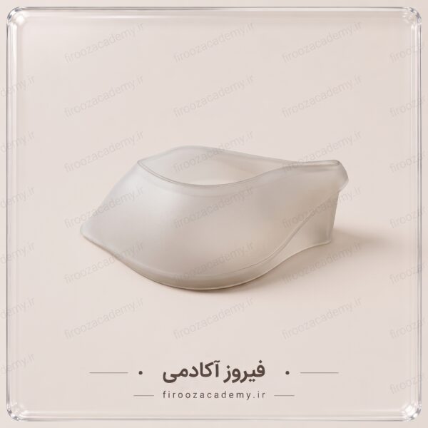 جاصابونی دلفینی