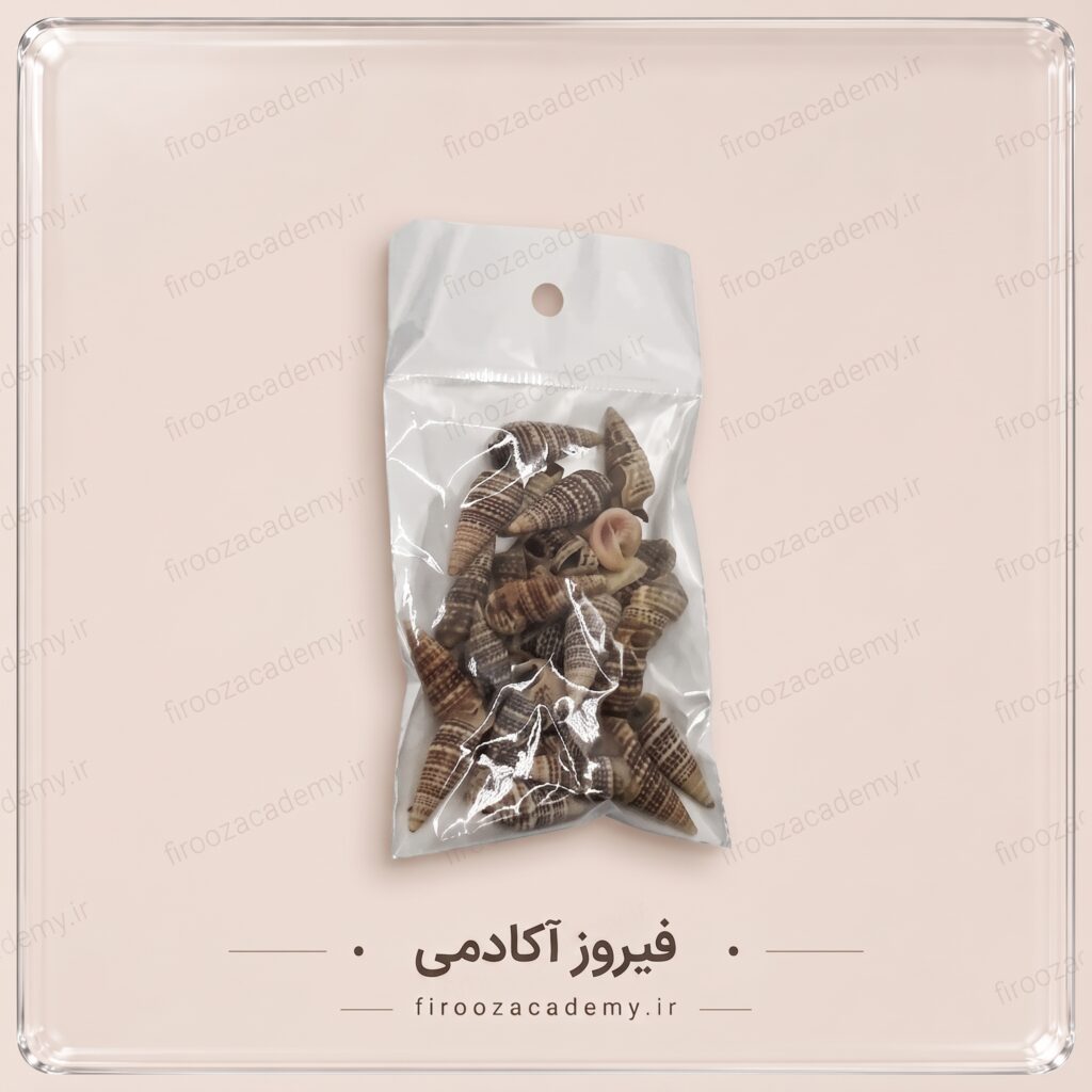 صدف ایرانی