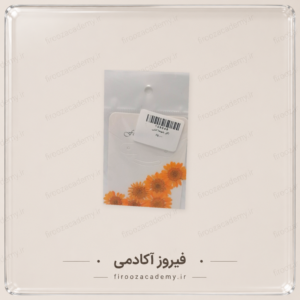 گل خشک بابونه تزئینی