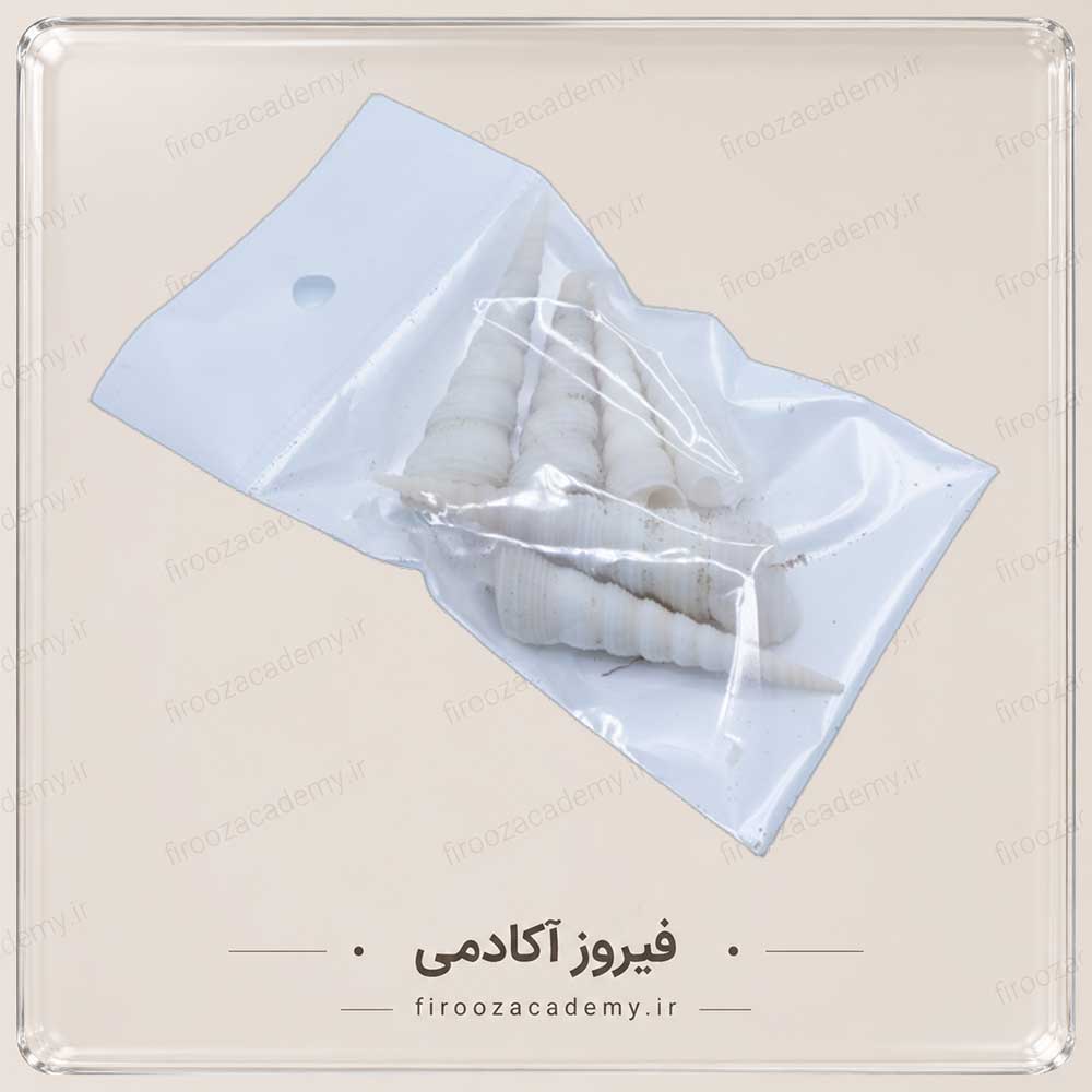 صدف تزینی1 - شمع سازی