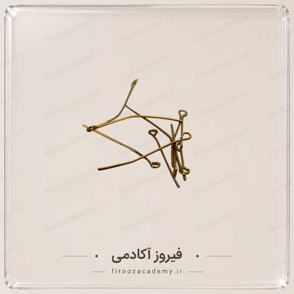 میخ گوشواره